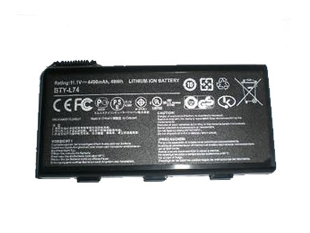 verenigbaar voor MSI 957-173XXP-102 Laptop Accu Laptop Accu Verenigbaar voor MSI 957-173XXP-102